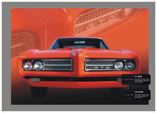 טפט תמונה FT0338 XXL