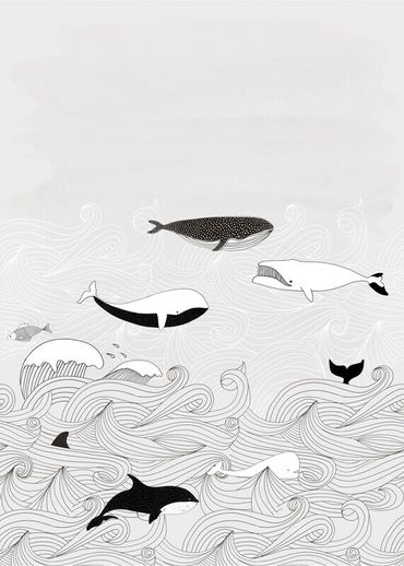 טפט סיפורי ילדים Whales Gray