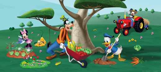 טפט תמונה FT0621 SV