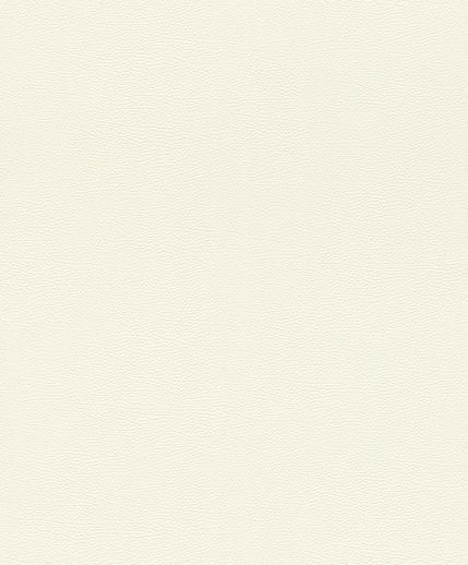 גליל טפט ראש 752632