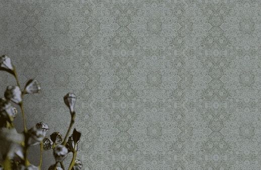 טפט תחרה כסוף כהה