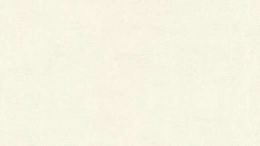 גליל טפט ראש 490916