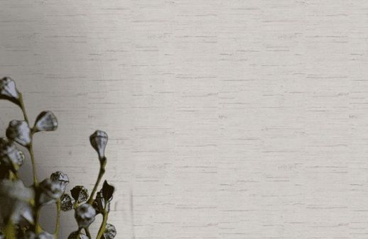 טפט דמוי בד משופשף אפור בהיר כסוף