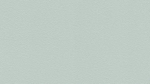 גליל טפט ראש 474954