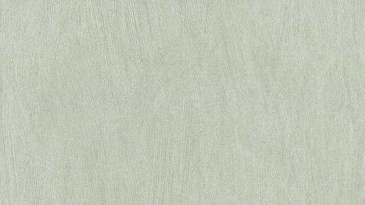 גליל טפט ראש 540840