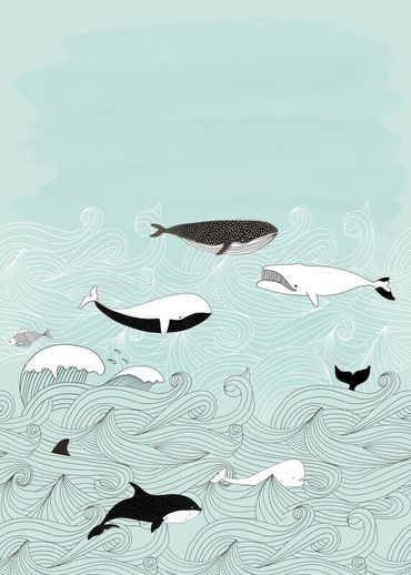 טפט סיפורי ילדים Whales bleu
