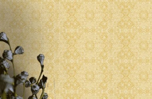 טפט תחרה חרדל מוזהב