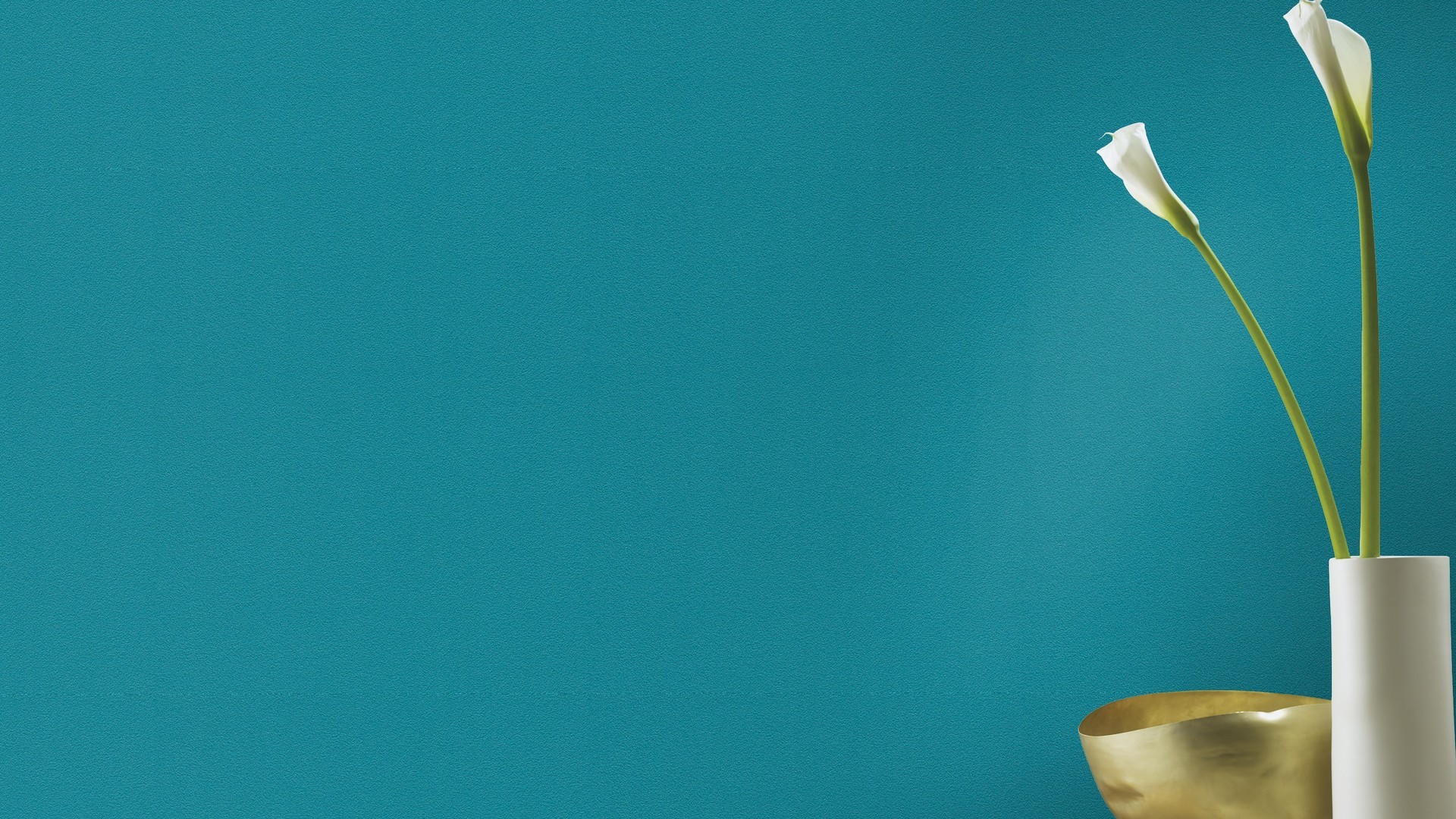 גליל טפט ראש 469103