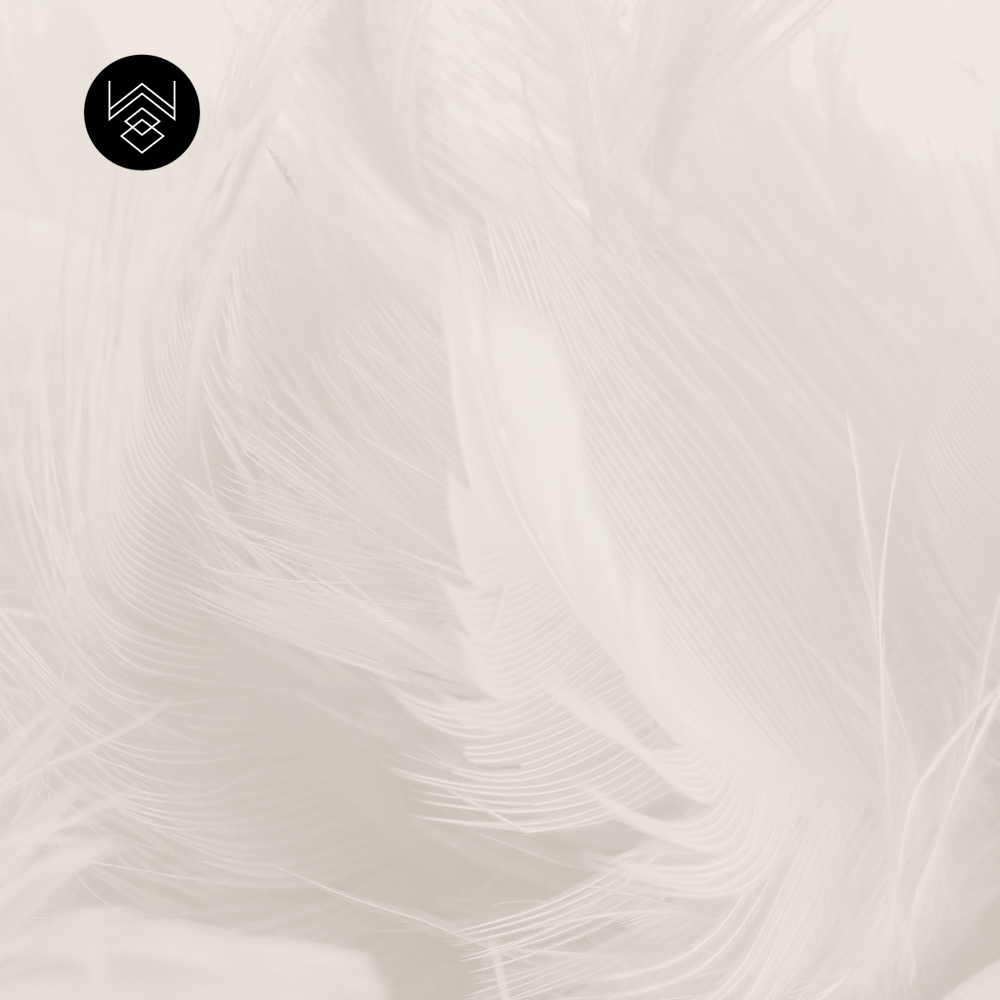 טפט סטורי וייב 5