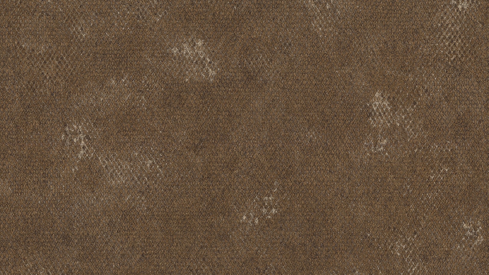 גליל טפט ראש 550689