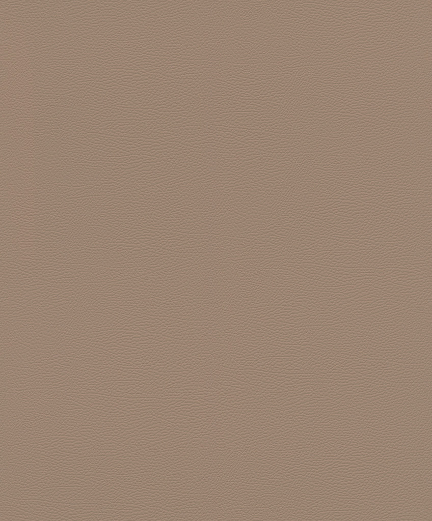 גליל טפט ראש 752724