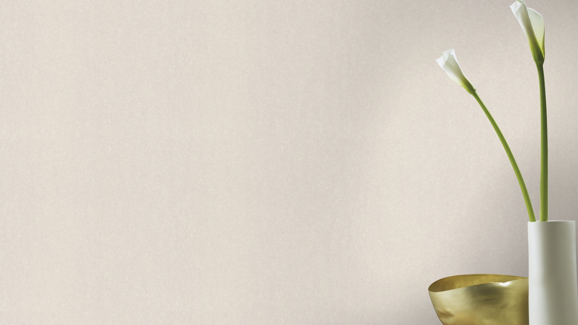 גליל טפט ראש 501117