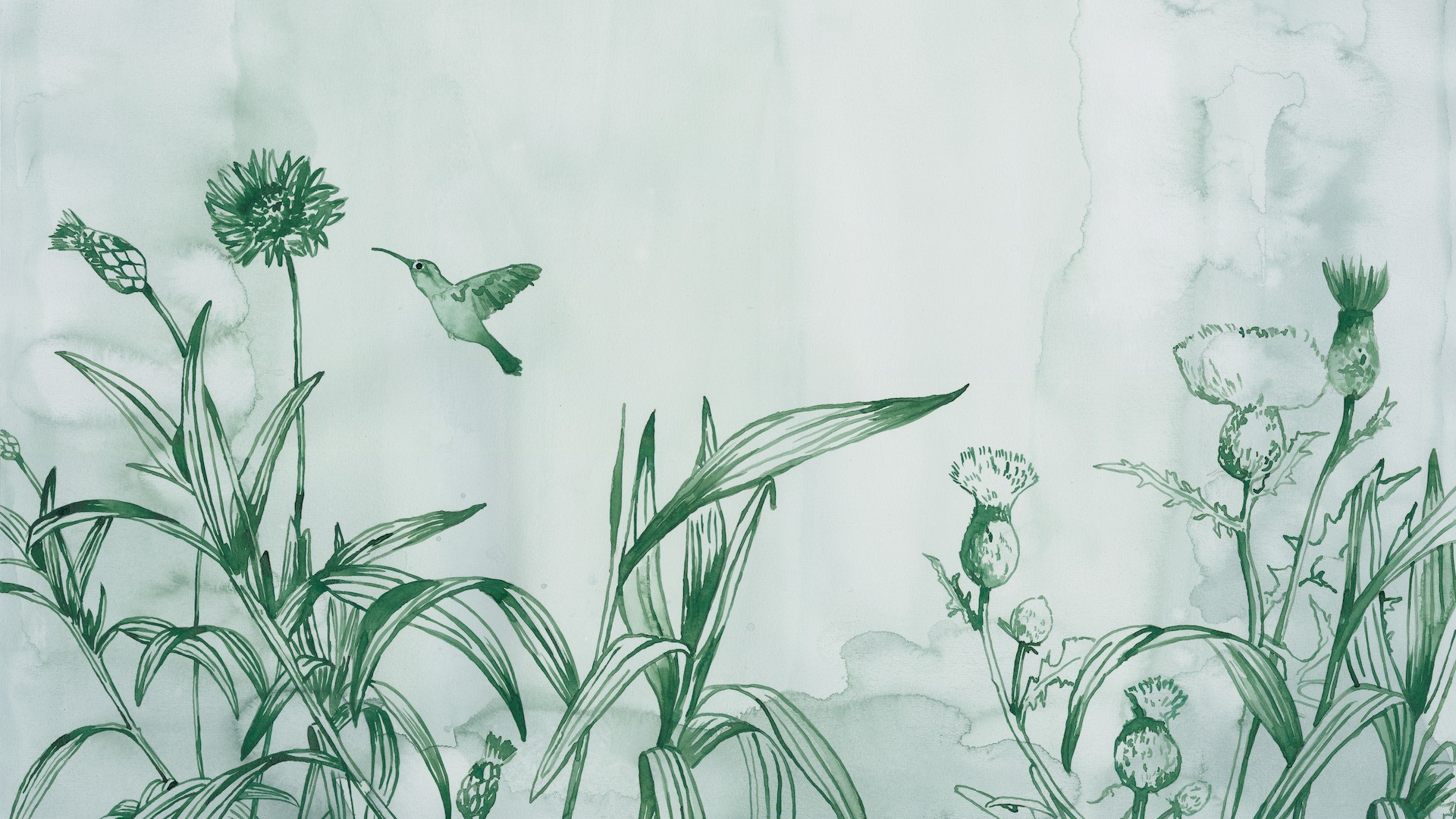 טפט תמונה 100471