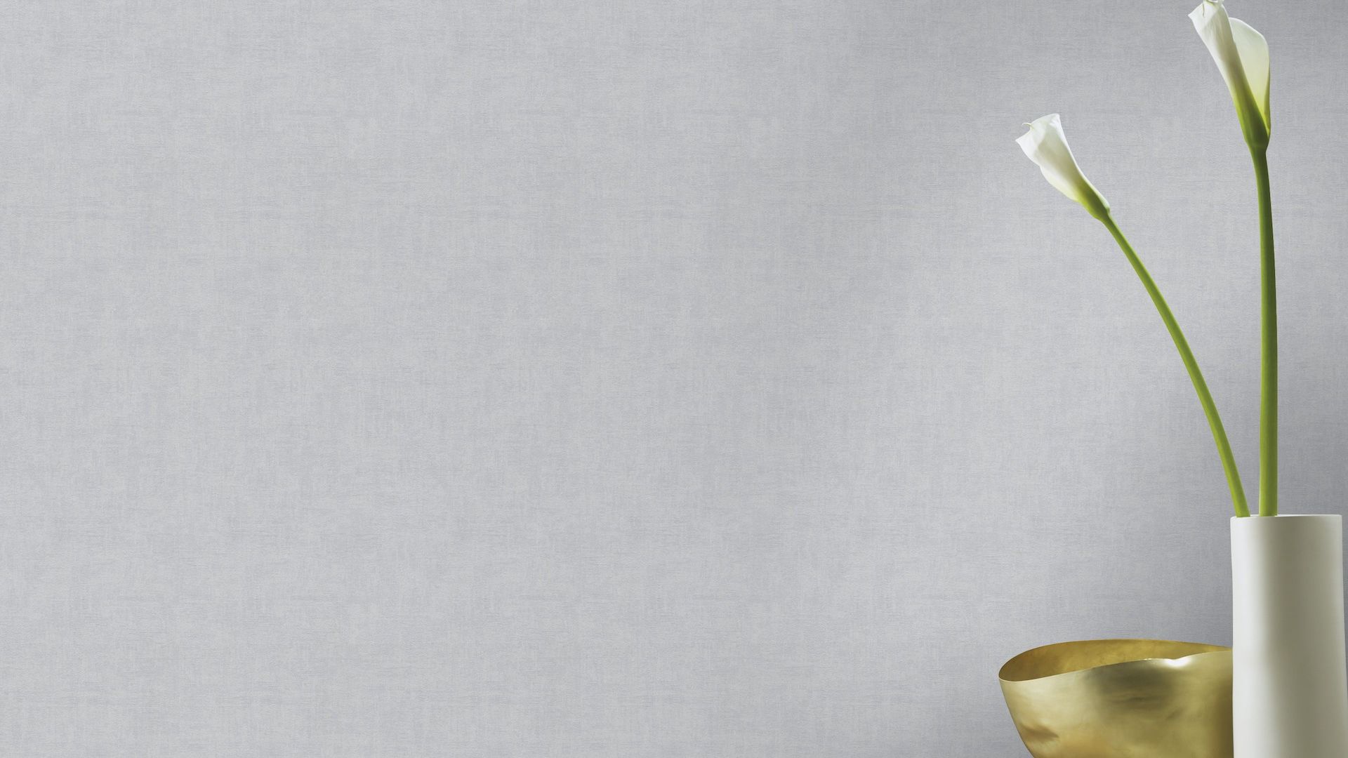 טפט תמונה 489750