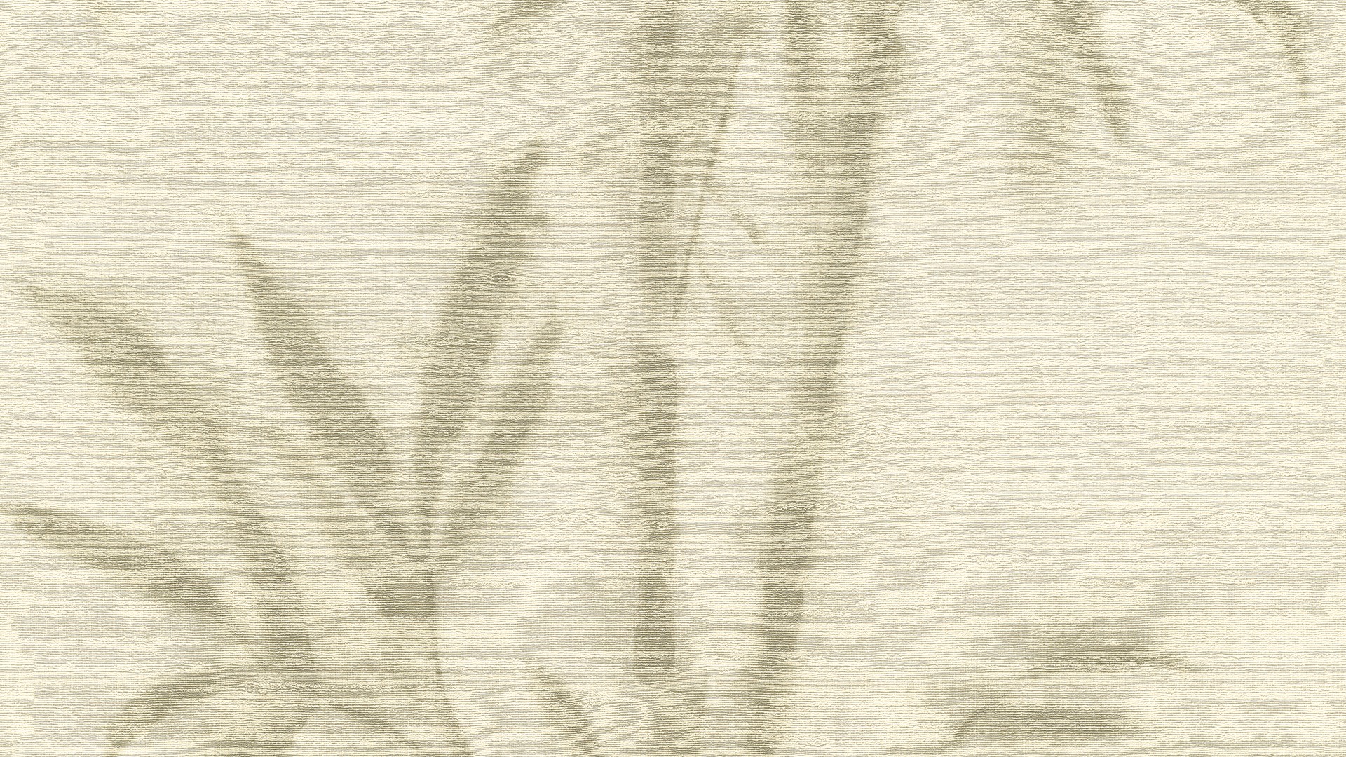 גליל טפט ראש 529142