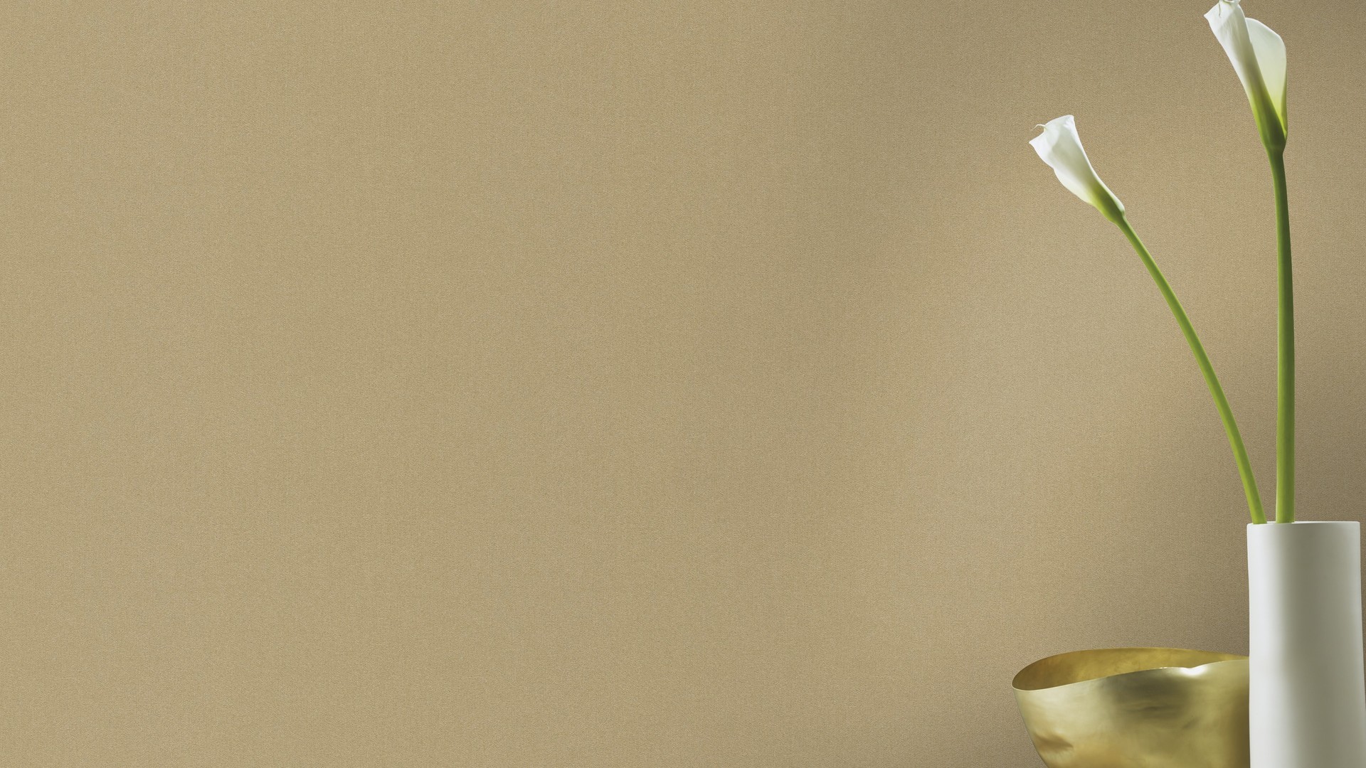 גליל טפט ראש 441659