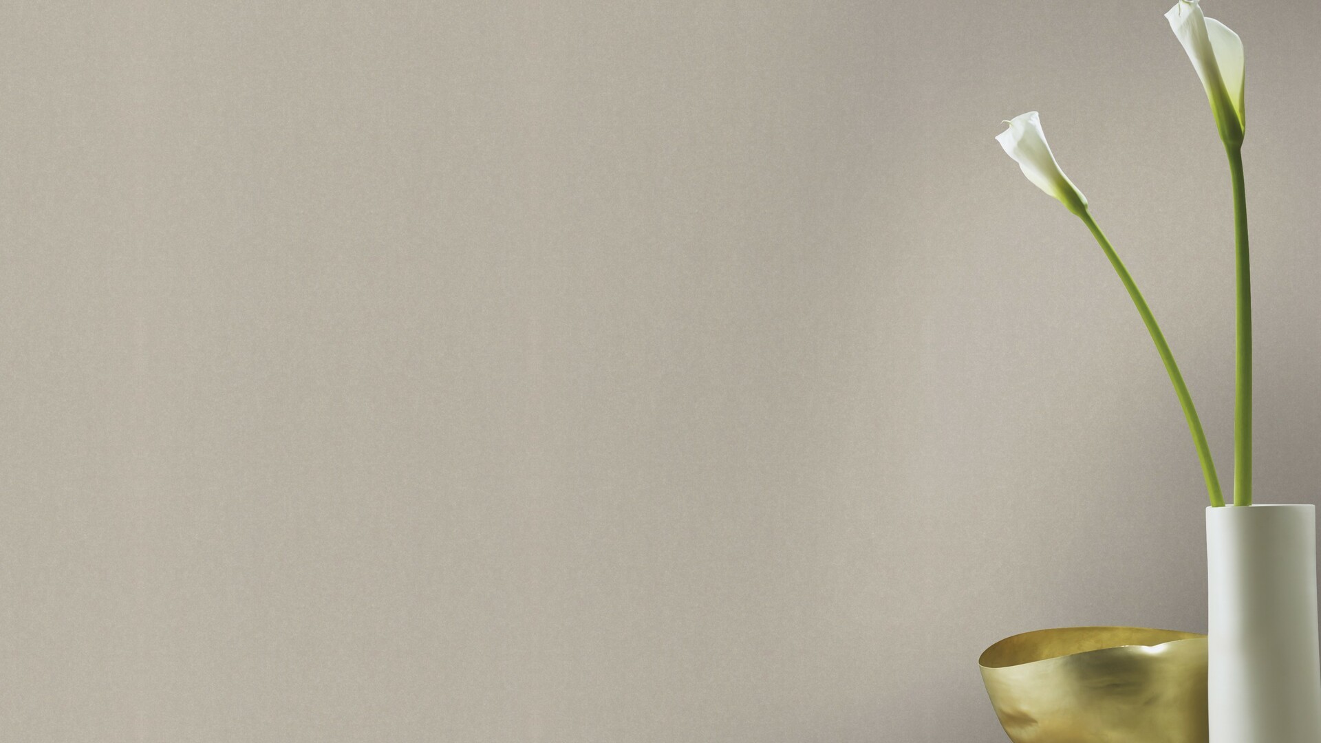 גליל טפט ראש 501179