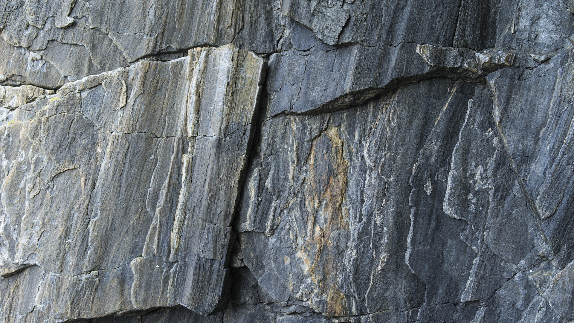 טפט תמונה 100358