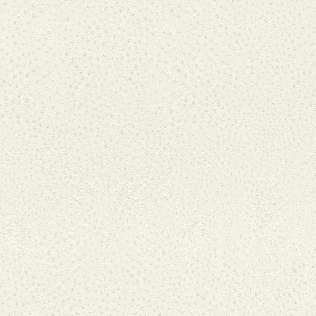 גליל טפט ראש 751536