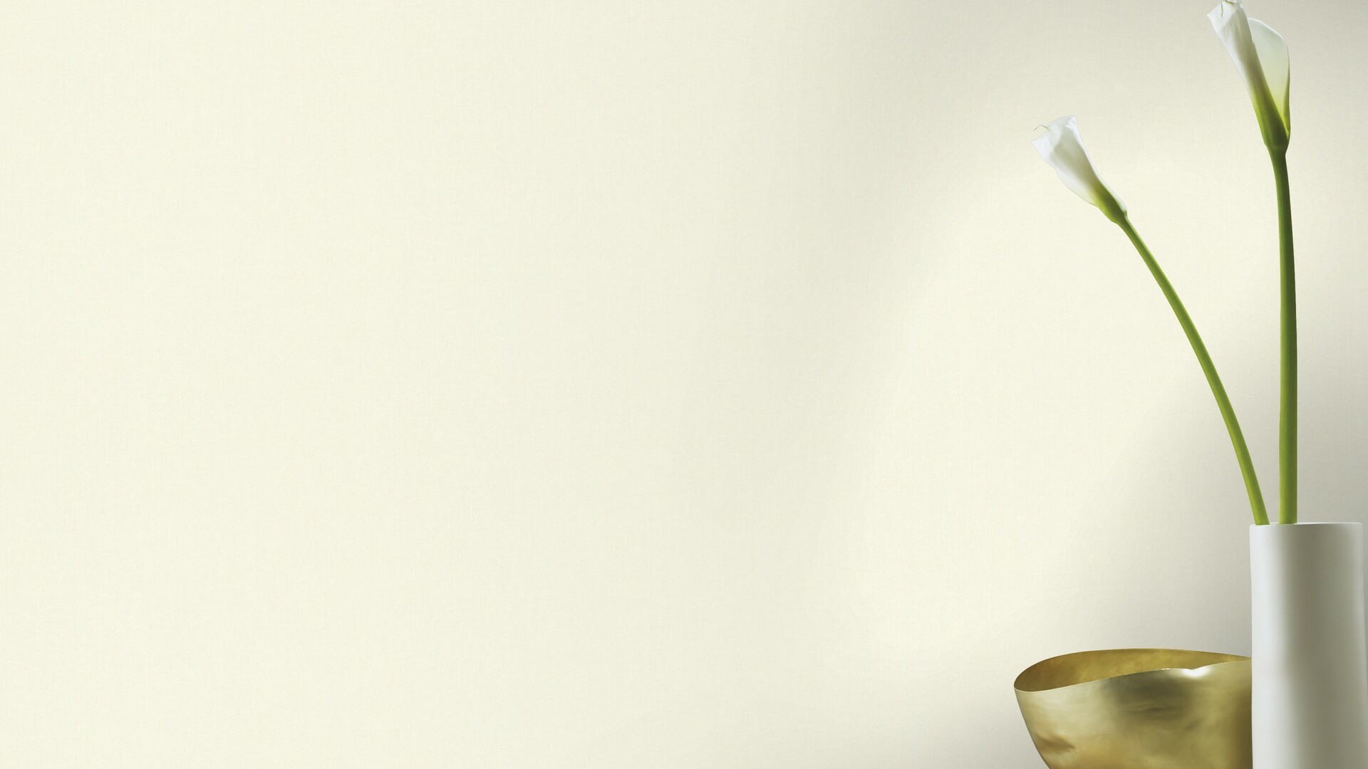 גליל טפט ראש 424034