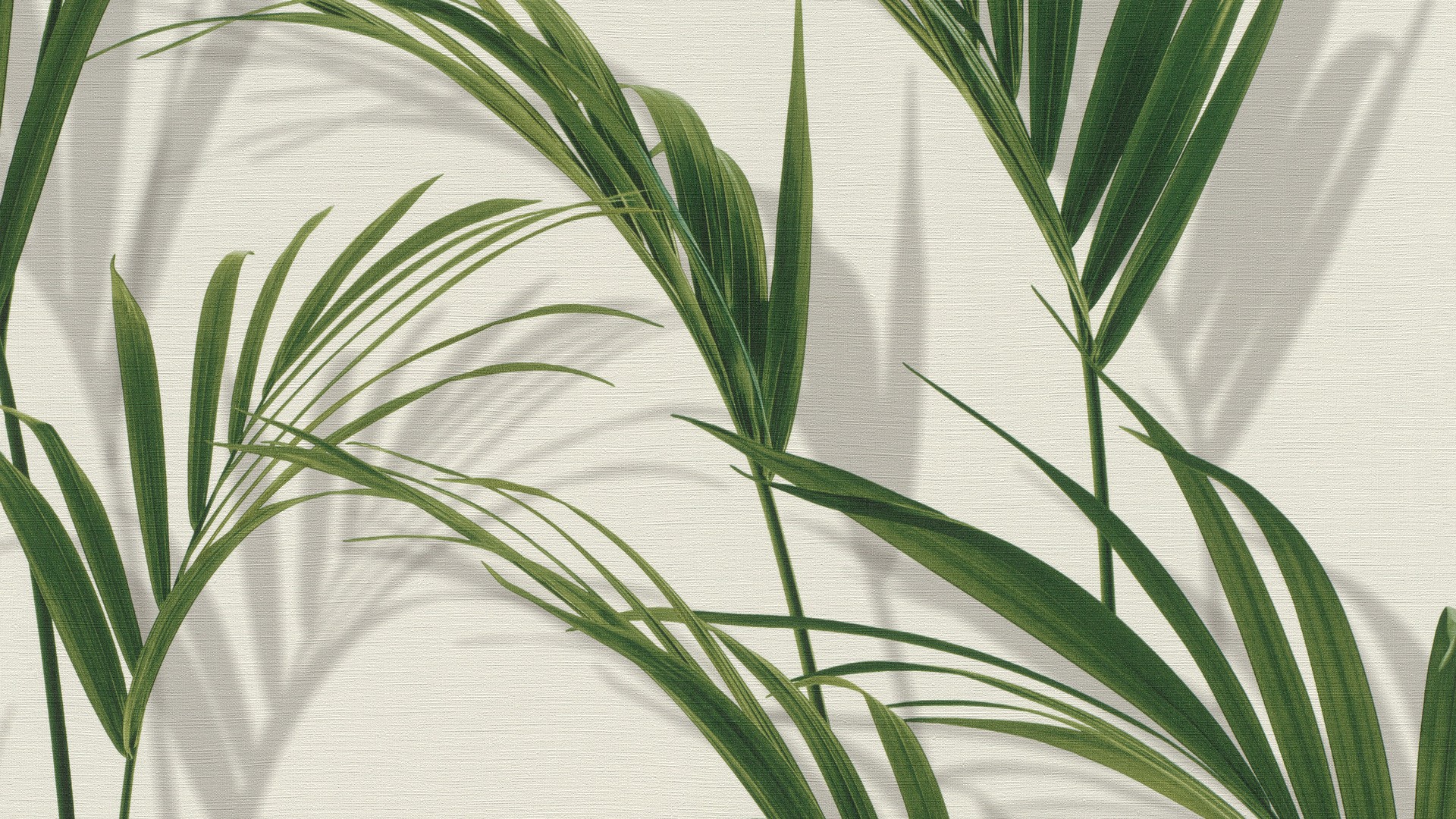 גליל טפט ראש 465112