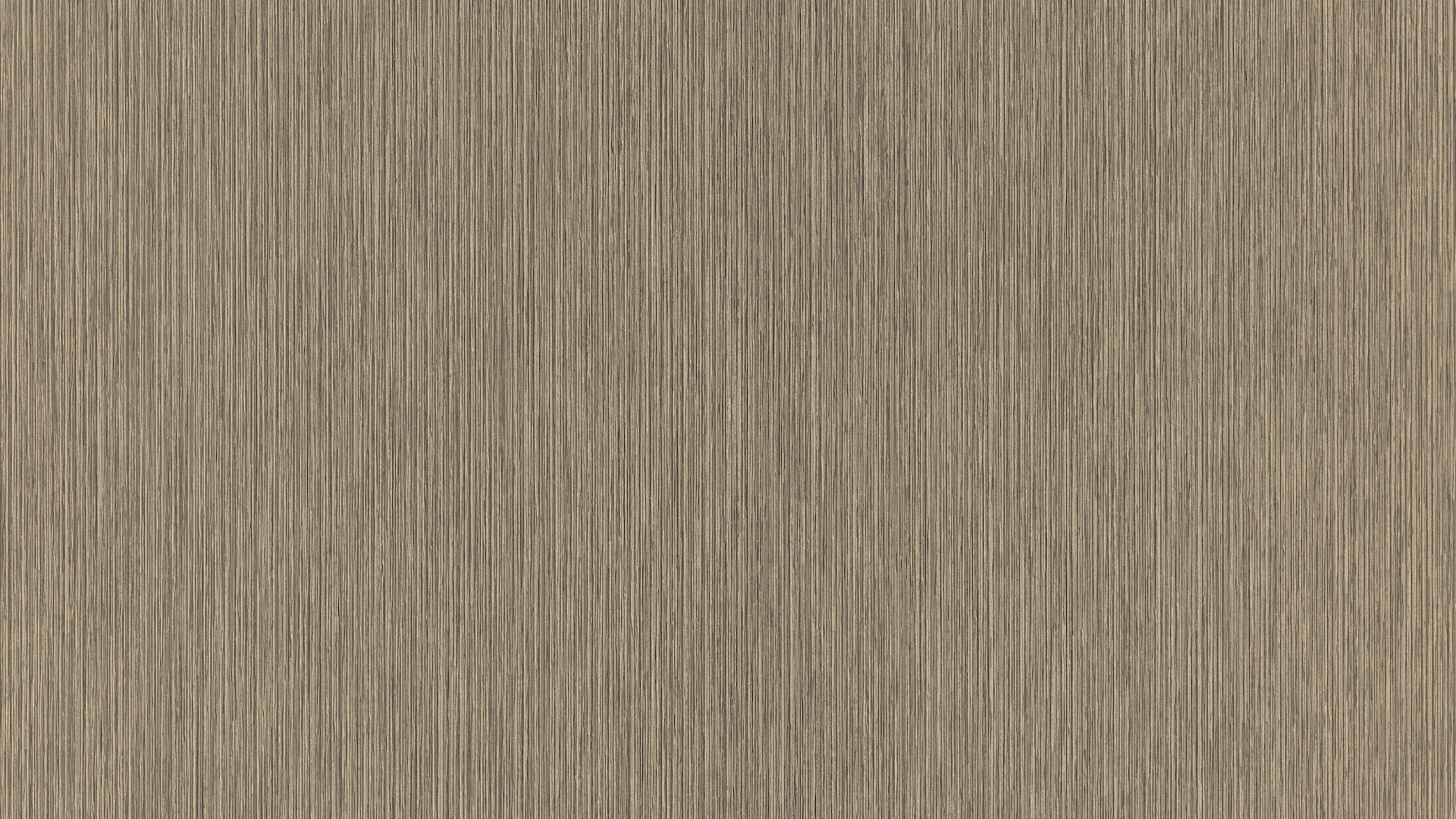 גליל טפט ראש 806564