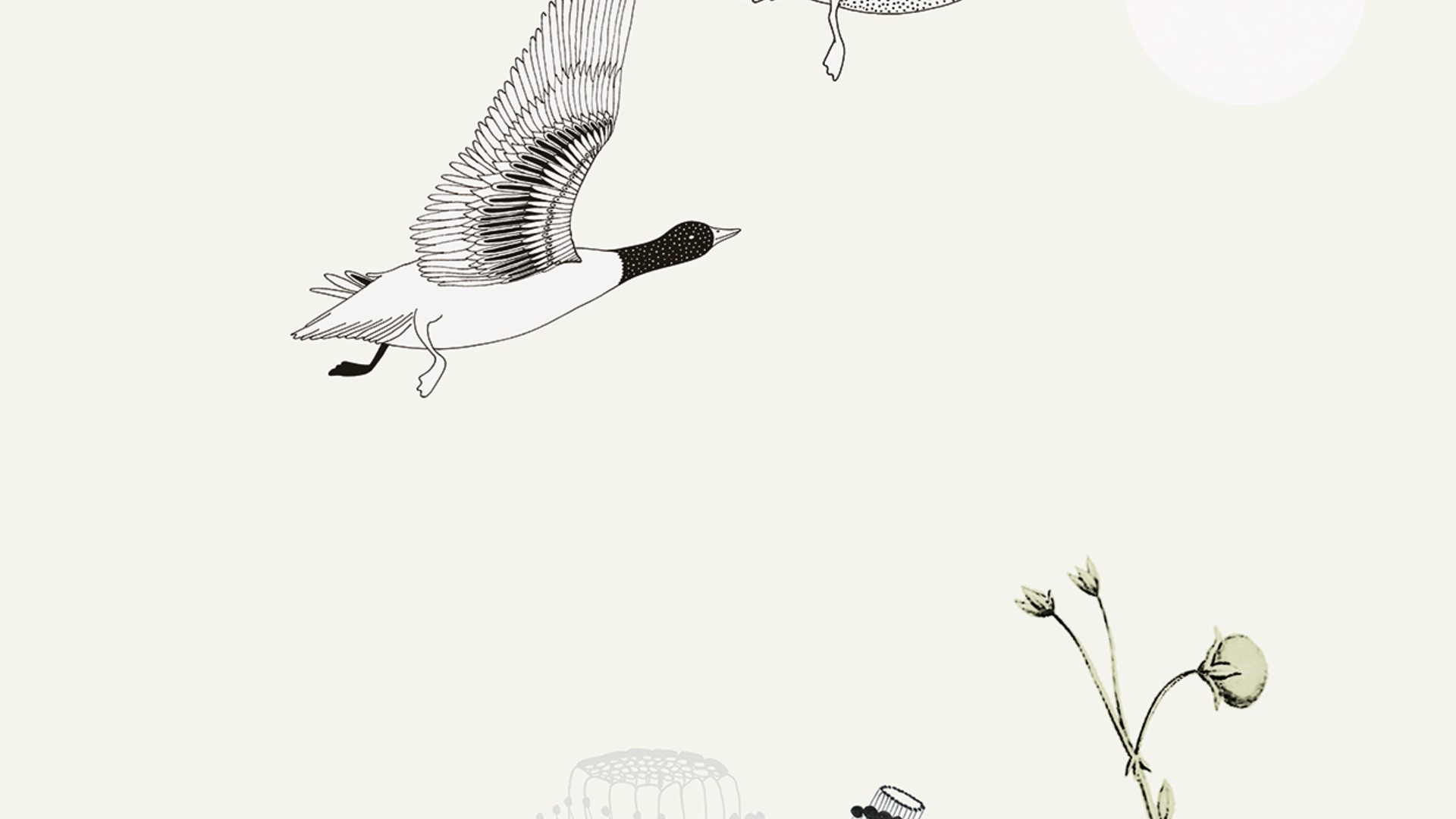 טפט תמונה 532005