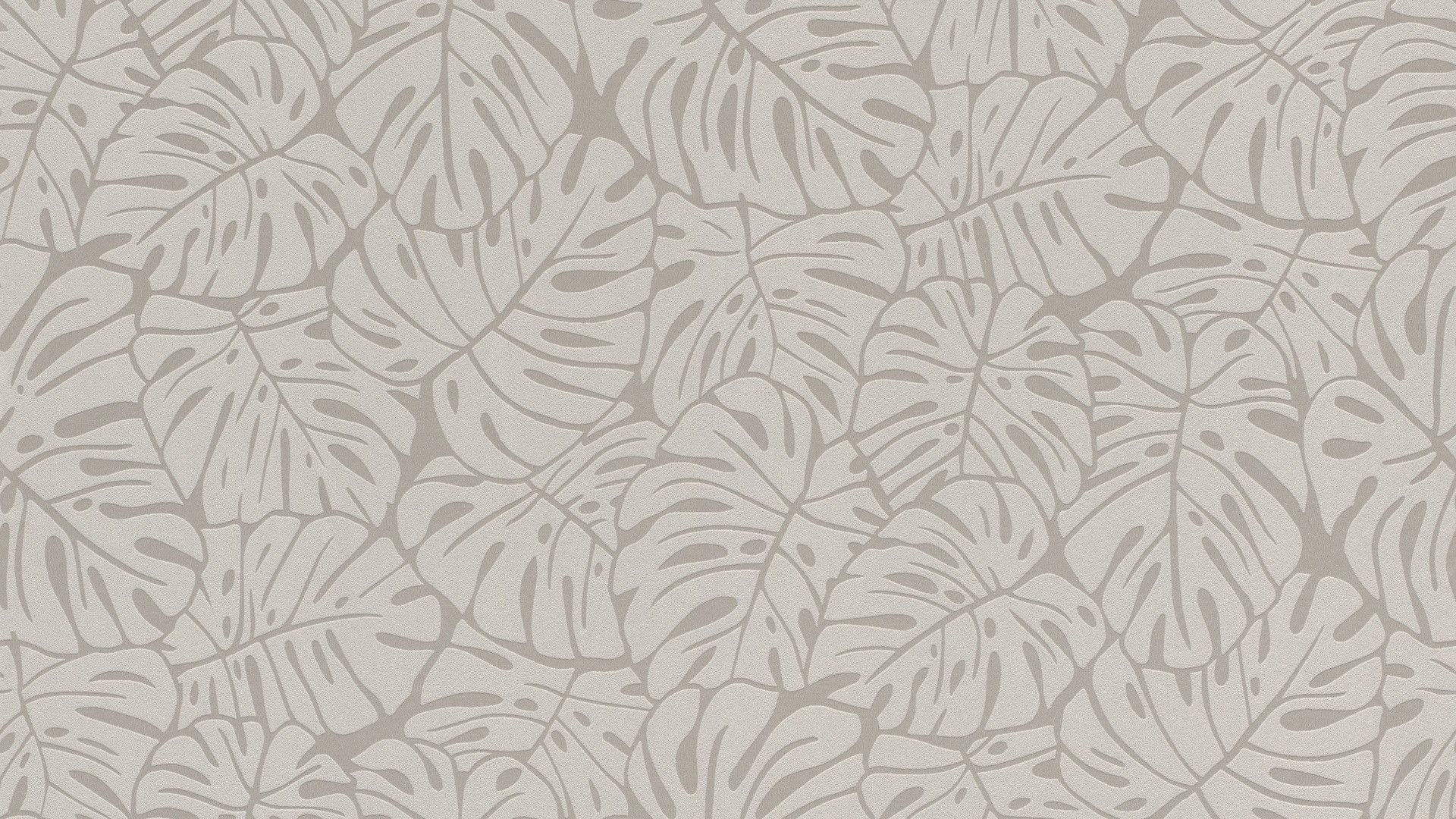 גליל טפט ראש 541557