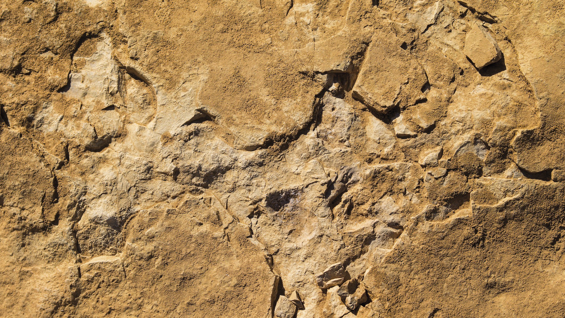 טפט תמונה 101072