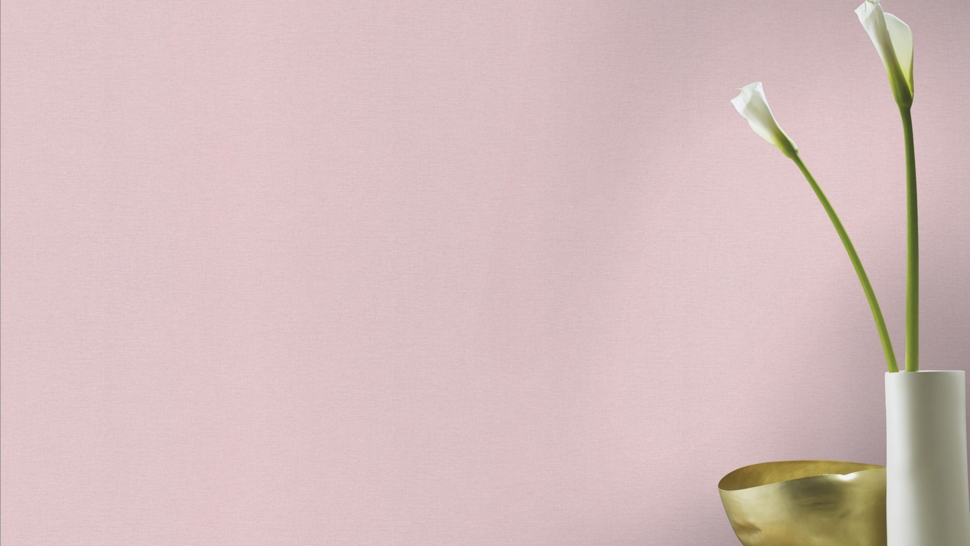 גליל טפט ראש 448528