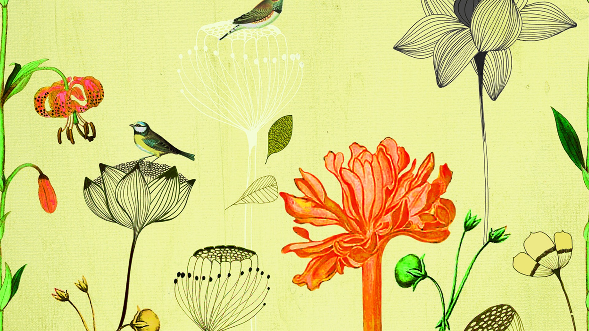 גליל טפט ראש 532036