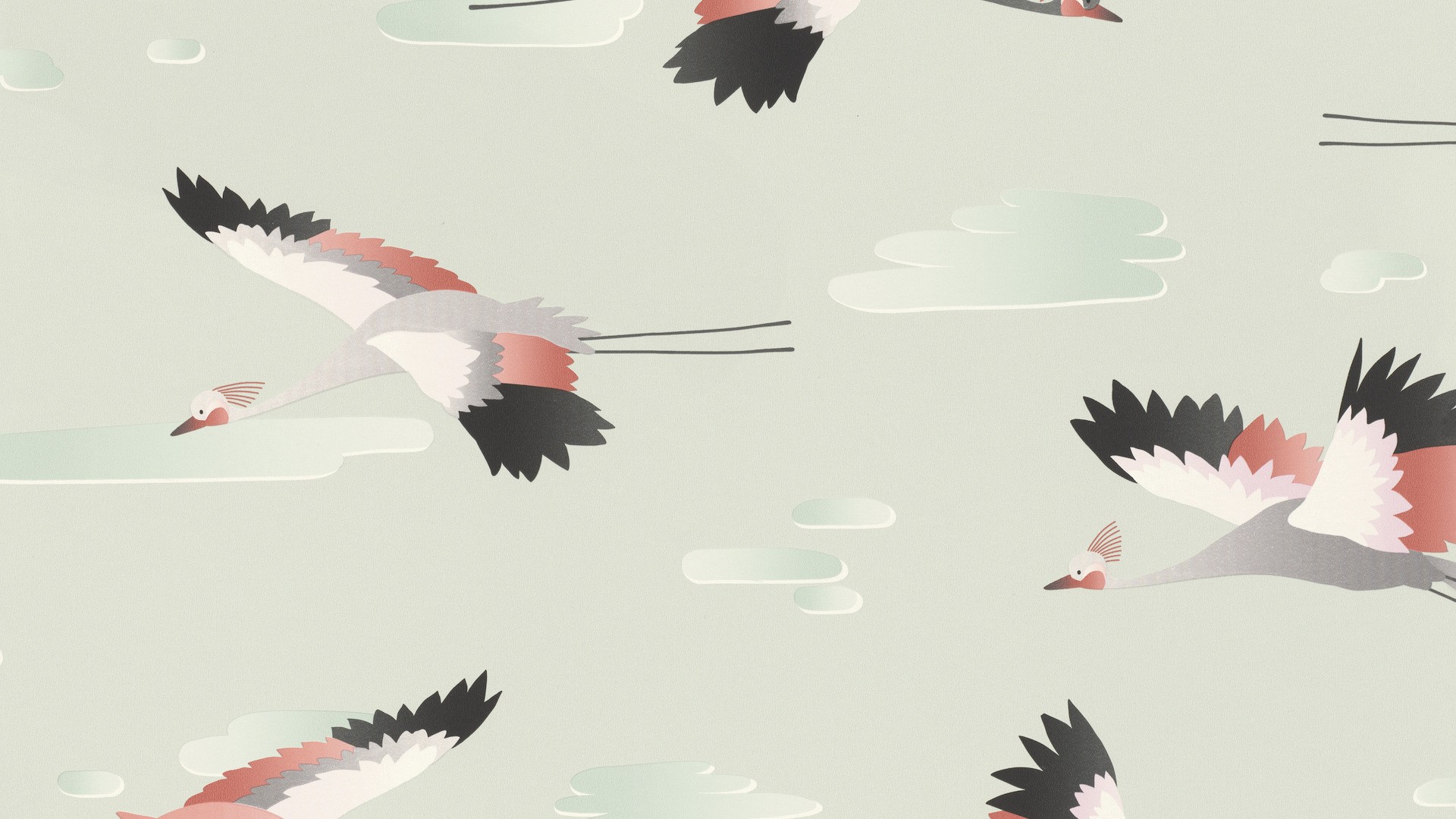 גליל טפט ראש 818116