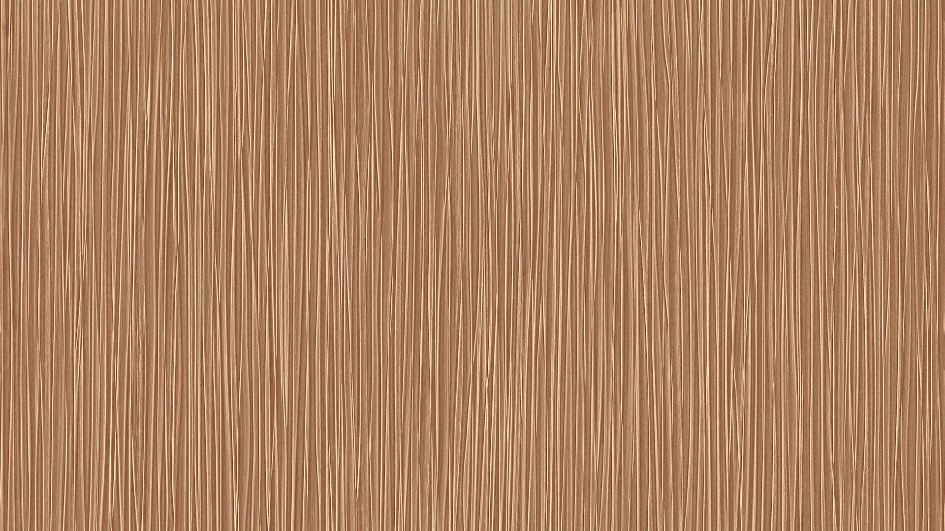 גליל טפט ראש 529920