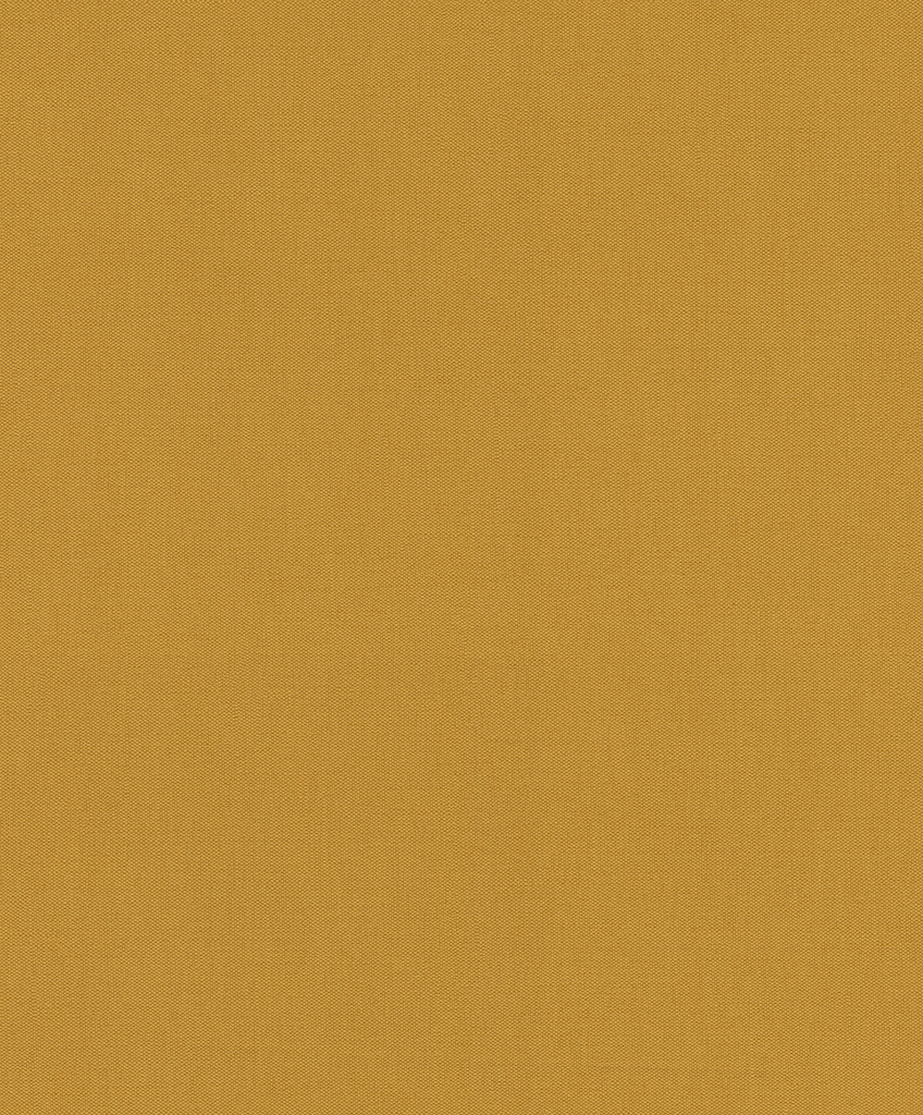 גליל טפט ראש 633153