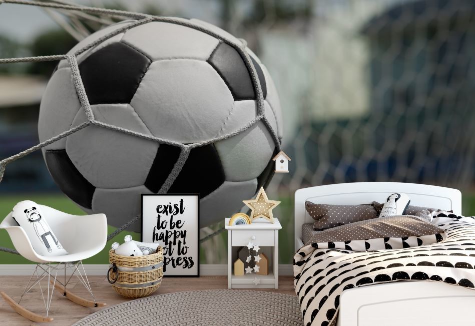 כדור ברשת תלת מימד 161