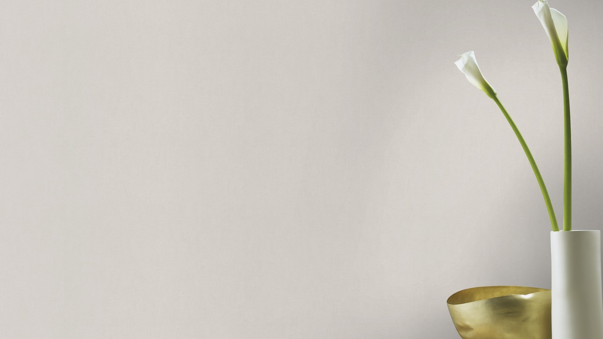 גליל טפט ראש 247411