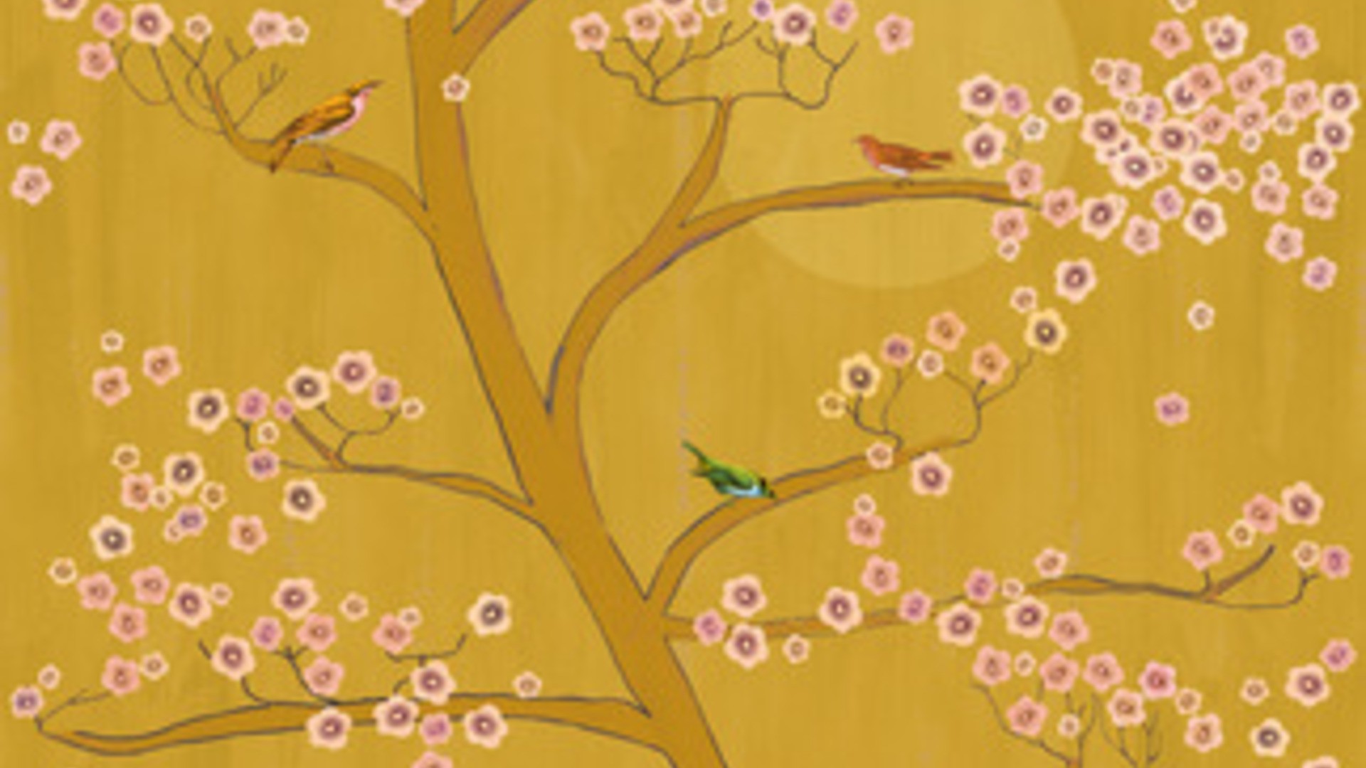 גליל טפט ראש 542127