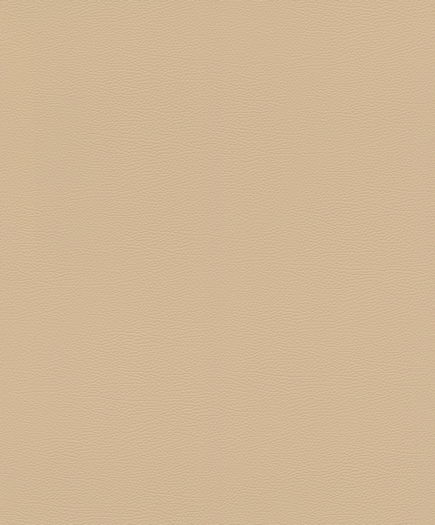 גליל טפט ראש 752694