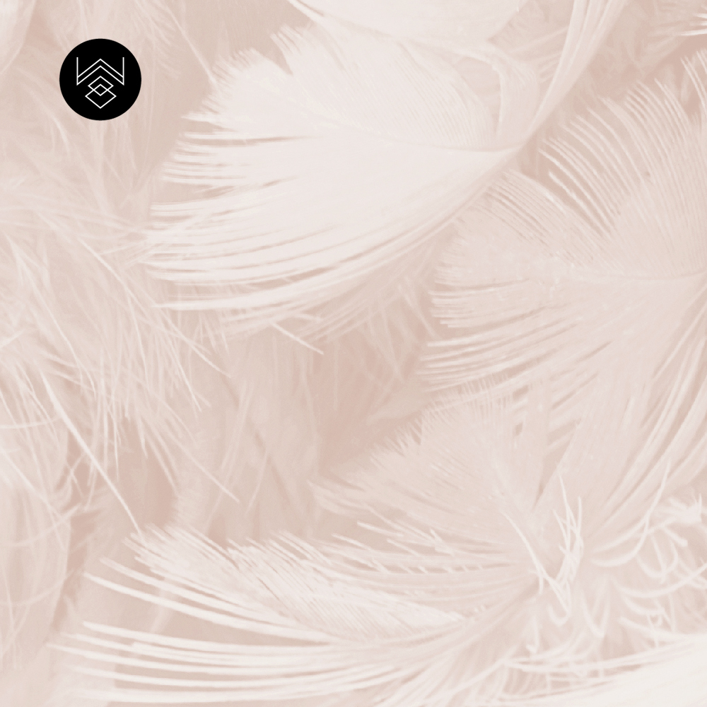 טפט סטורי דרים 4