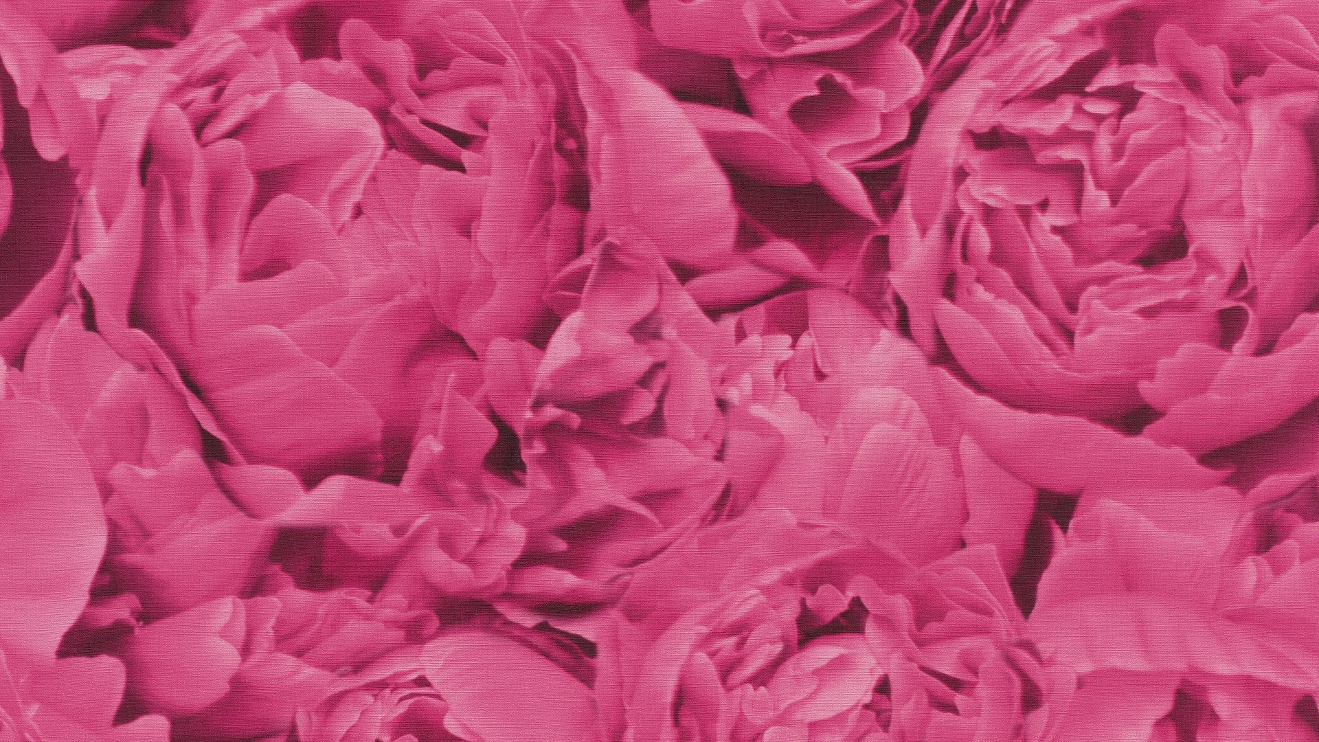 גליל טפט ראש 464245