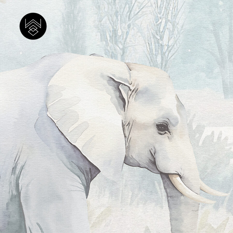 טפט פורסט וורלד קידס 1