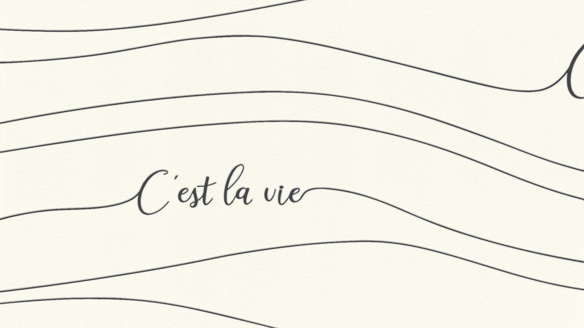 גליל טפט ראש 464603