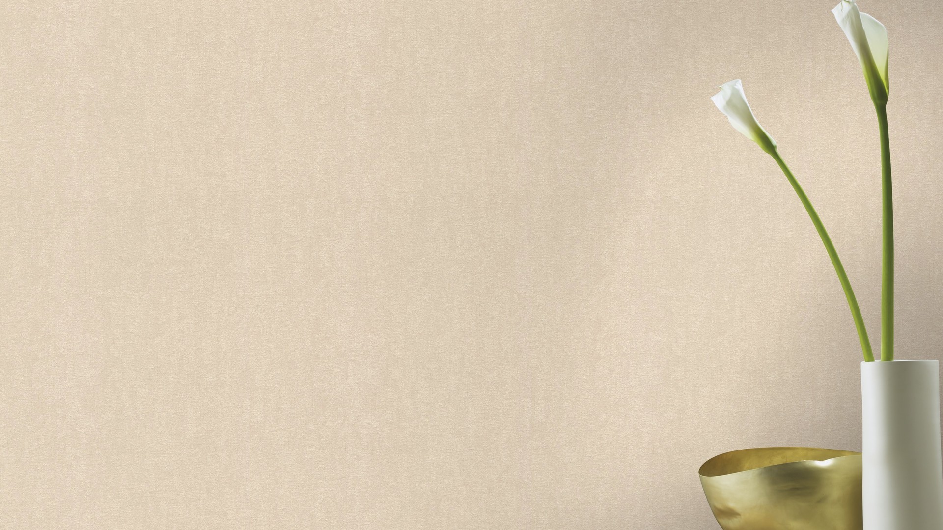 גליל טפט ראש 402339