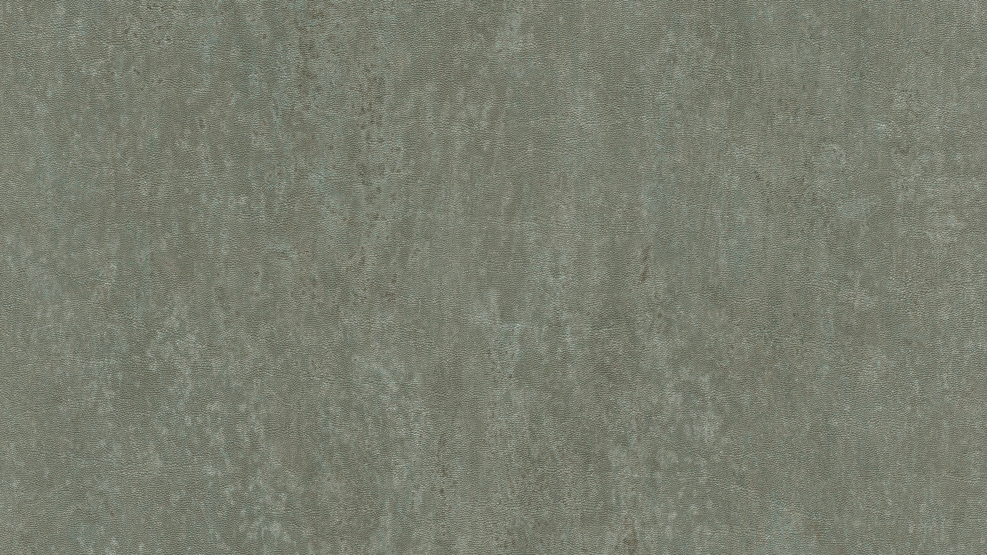 גליל טפט ראש 550078