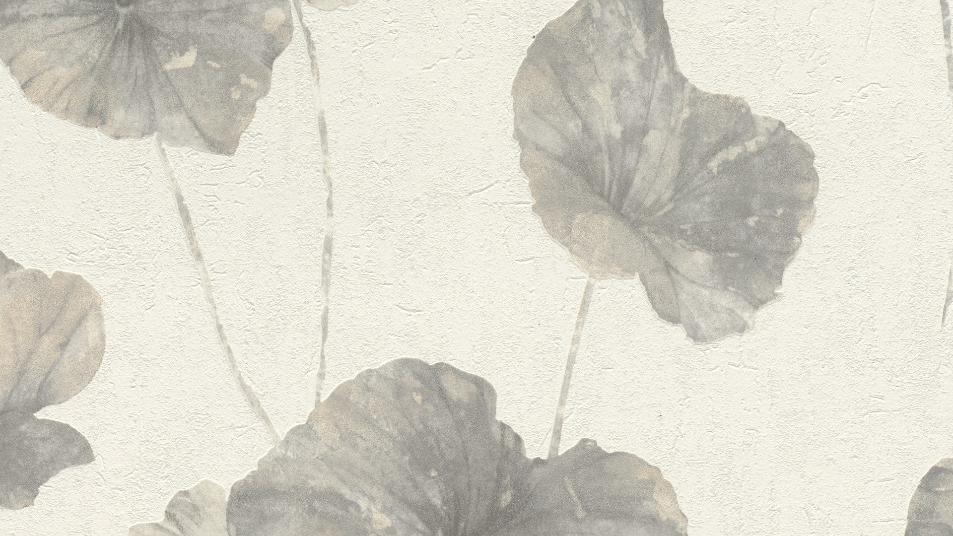 גליל טפט ראש 458213