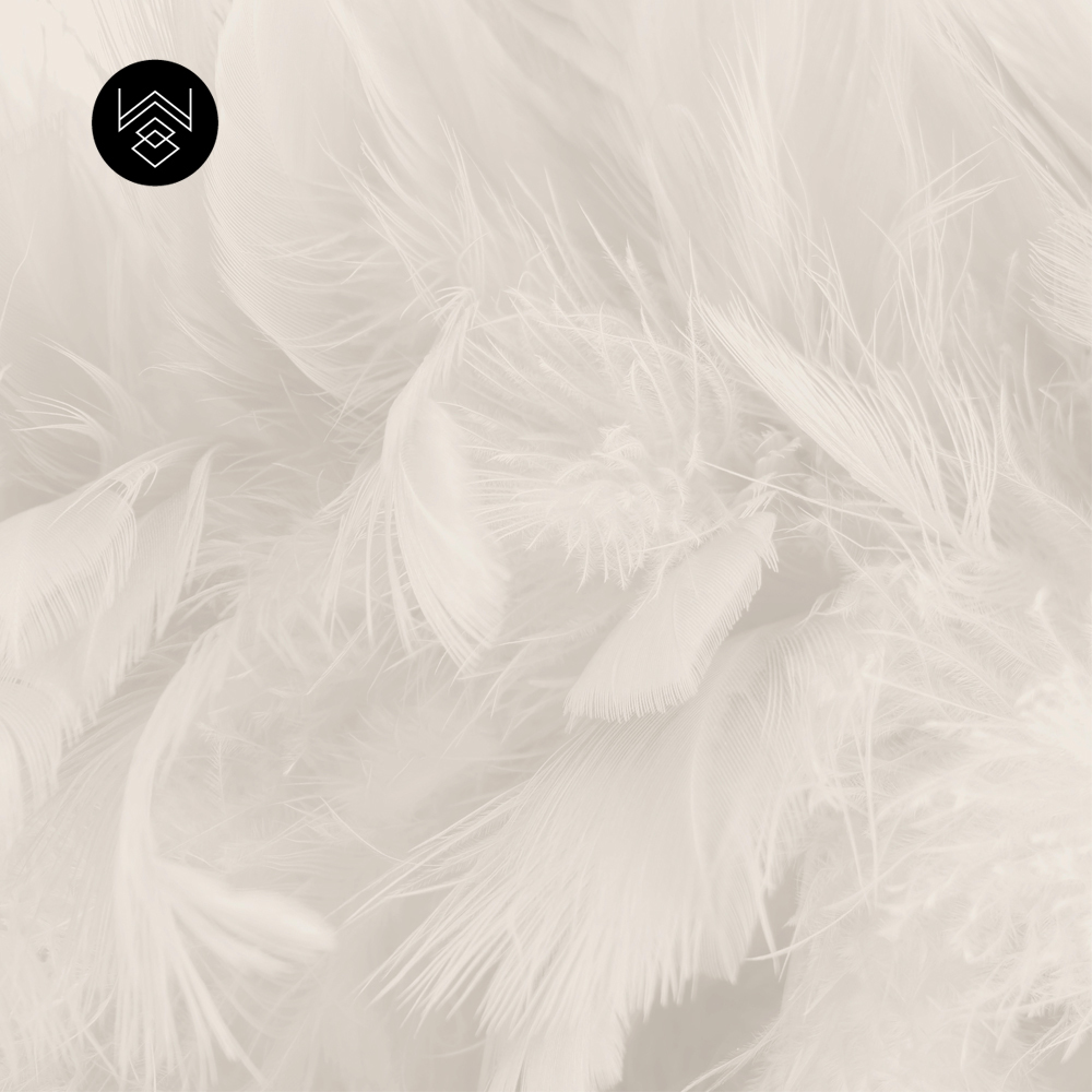 טפט סטורי וייב 5