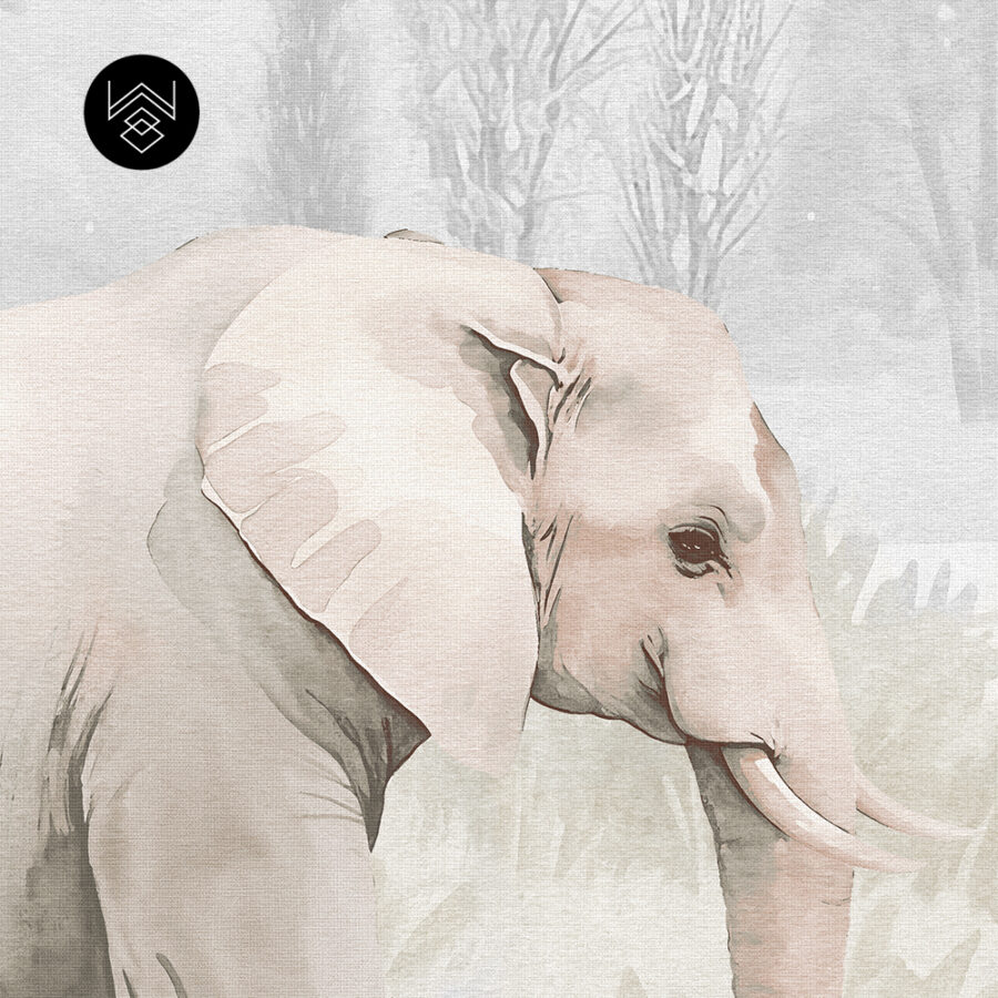 טפט פורסט וורלד קידס 4