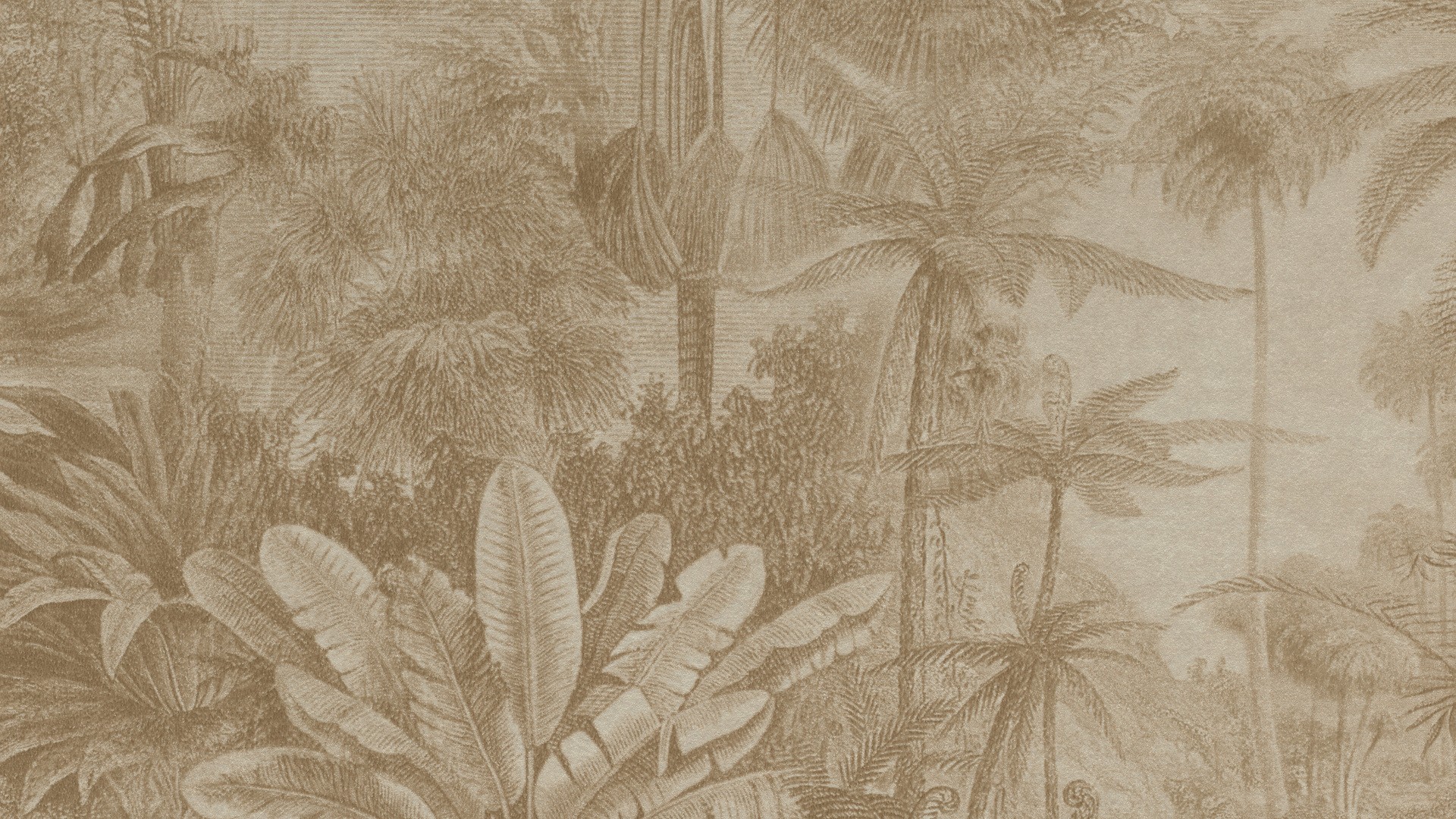 גליל טפט ראש 551167