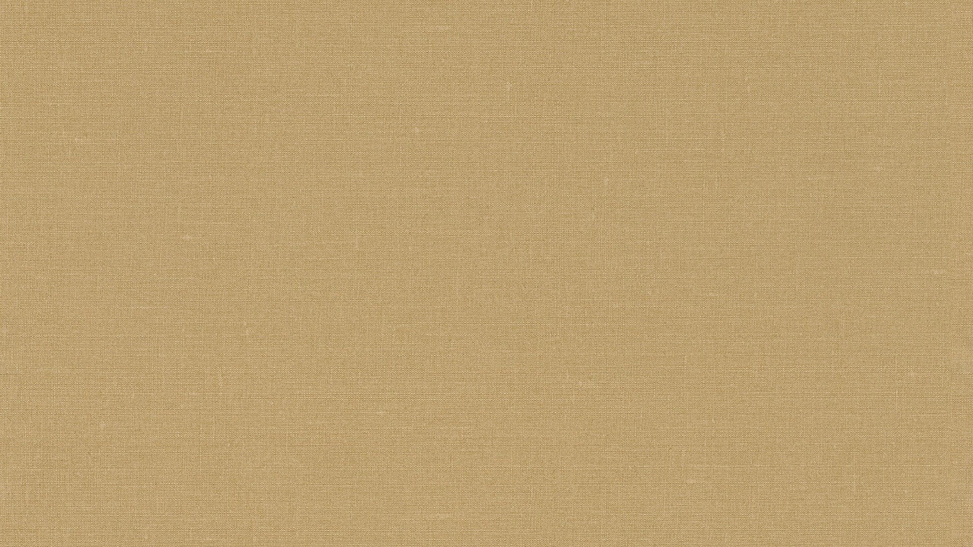 גליל טפט ראש 449150