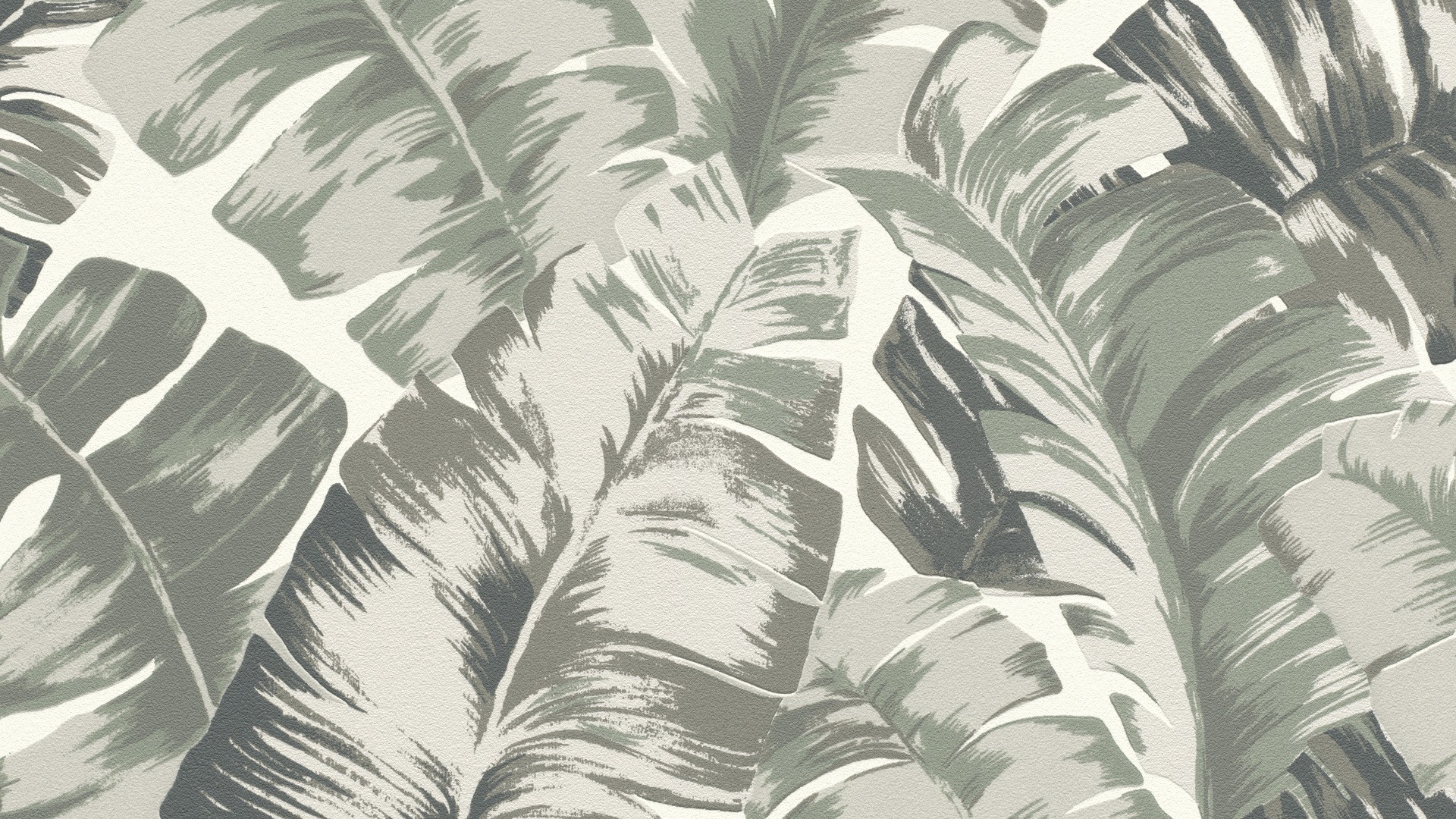 גליל טפט ראש 535600